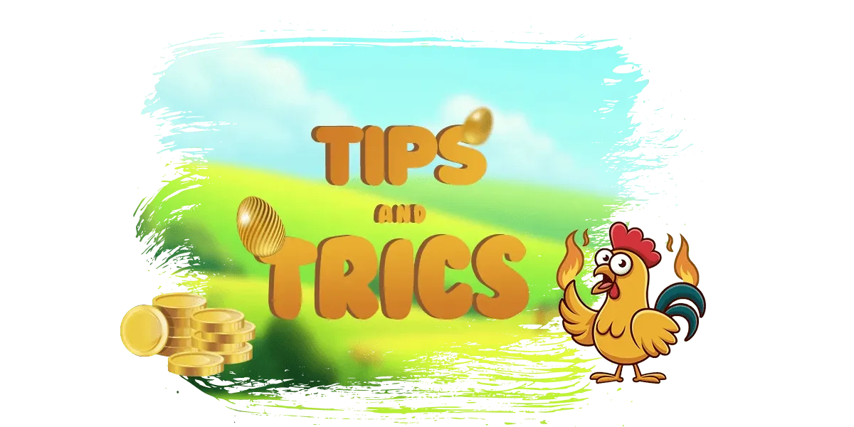 chickenroad-Tips-and-Tricks